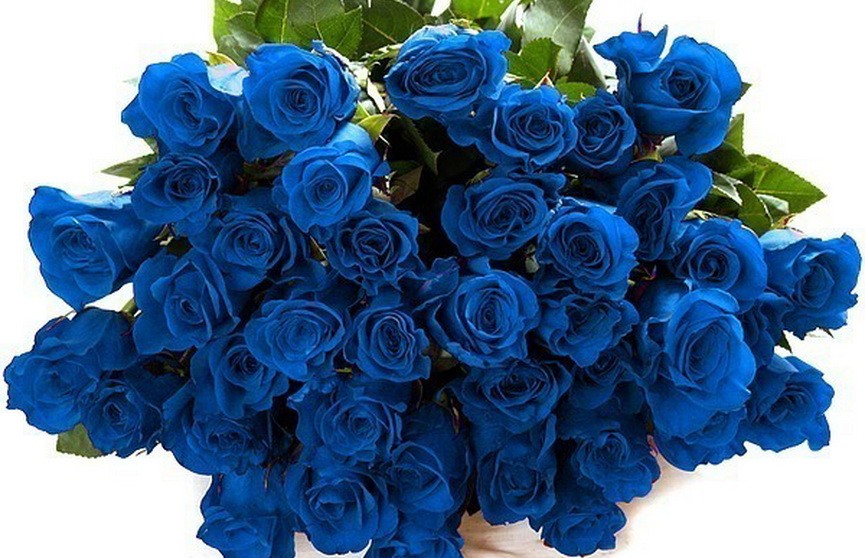 Поздравление С Днем Рождения Синие Цветы