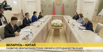 Наталья Кочанова обсудила с представителем ШОС укрепление стратегического партнерства
