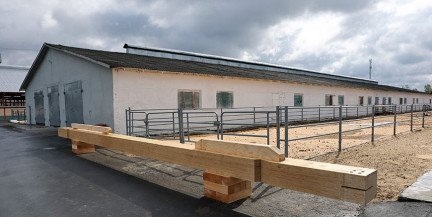 Президент поставил задачу, чтобы все в строительстве телятников было дешево и функционально