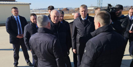 Лукашенко доложили о развитии молочного животноводства на Могилевщине