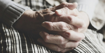 Дачники из льготных категорий смогут платить за свет по сниженному тарифу