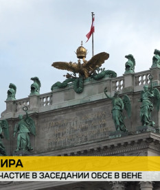 Делегация Национального собрания Беларуси участвует в двухдневном заседании ПА ОБСЕ в Вене