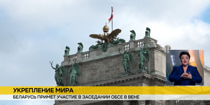 Делегация Национального собрания Беларуси участвует в двухдневном заседании ПА ОБСЕ в Вене