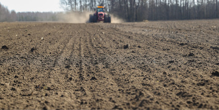 Лукашенко доложили о ходе весенних полевых работ в Беларуси