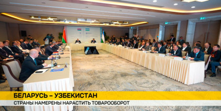 Беларусь и Узбекистан приближаются к миллиарду долларов товарооборота