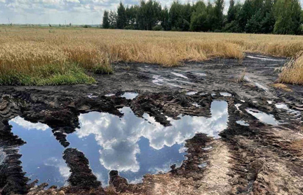 Загрязнение почвы выявлено в Калинковичском районе