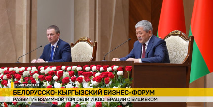 Белорусская делегация в Кыргызстане: Встреча Премьер‑министра с президентом Садыром Жапаровым
