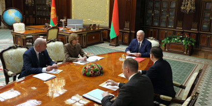 «Главное, что женщина хочет иметь ребенка». Лукашенко доложили о проекте указа о проведении ЭКО