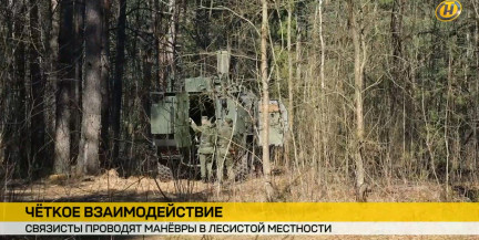Четкое взаимодействие. Связисты проводят маневры в лесистой местности
