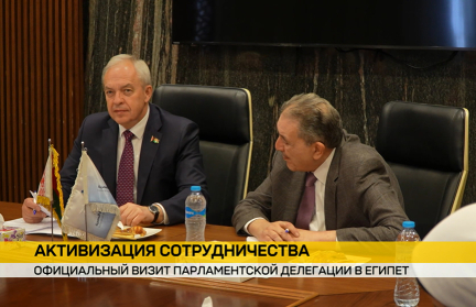Парламентская делегация Беларуси работает в эти дни в Египте