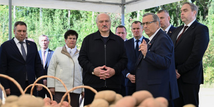 Лукашенко на картофельном поле поговорил с фермером о зарплатах, конкуренции и будущем деревни