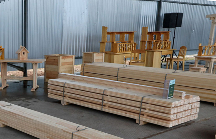 Александр Лукашенко поручил масштабировать деревообрабатывающие мини-предприятия по всей Беларуси