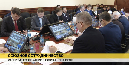 Парламентарии Беларуси и России обсудили вопросы двусторонней кооперации и импортозамещения