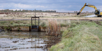 Лукашенко заявил о необходимости менять подходы к мелиорации