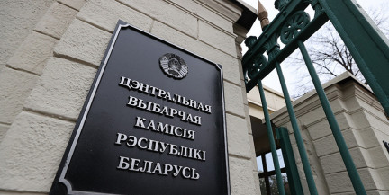 Выборы делегата ВНС от «Белой Руси» назначены на 16 мая