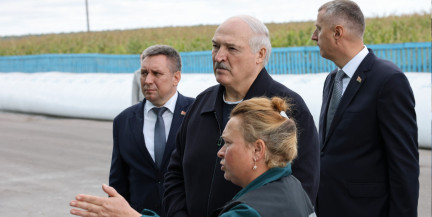 «Главное, чтобы порядок был». Лукашенко нашел нового зоотехника для хозяйства прямо на МТК