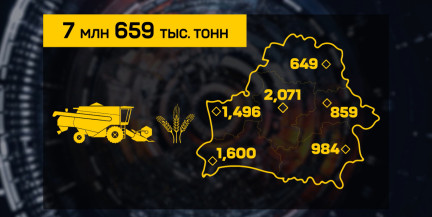 Урожай радует: в Беларуси намолотили свыше 7,6 млн тонн зерна