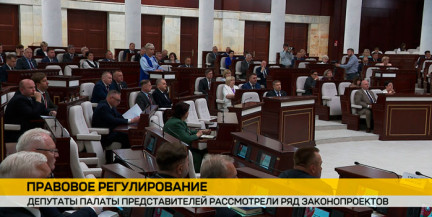 Депутаты приняли во втором чтении изменения в Закон по вопросам физической культуры, спорта и туризма