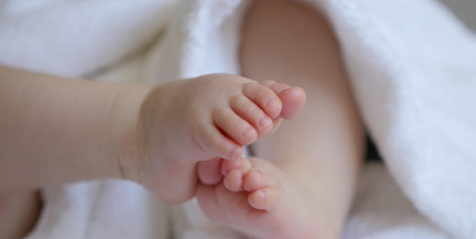 Лукашенко высказался об отношении к ЭКО, моралистах и примере Пугачевой