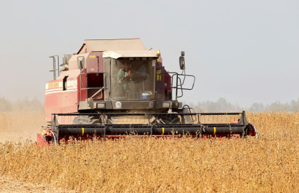 А. Лукашенко: Упаси Господь, если после зимы обнаружим технику за забором