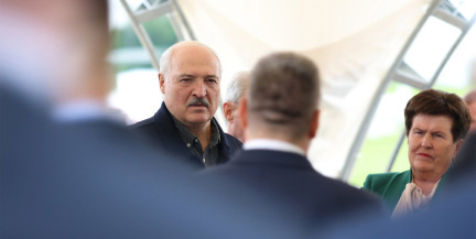 Мясное скотоводство как драйвер роста: Лукашенко обсудил стратегию с экспертами