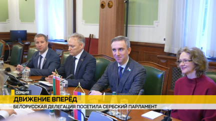 Белорусская делегация посетила сербский парламент