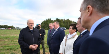 Лукашенко поручил навести порядок в «Говядах» к 7 ноября: «Никакой зряплаты здесь быть не должно»
