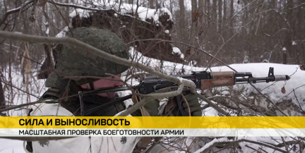 Физическая подготовка – основа боеготовности: в Беларуси идет масштабная проверка армии