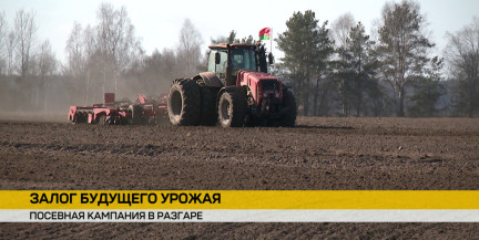 Масштабная посевная: работы идут во всех регионах Беларуси