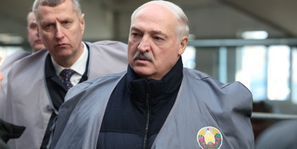 «Не заниматься этим – преступление». Лукашенко ознакомился с развитием племенного мясного скотоводства в Дрибинском районе