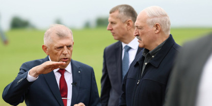 «Важнее люди»: Лукашенко высказался против масштабных животноводческих проектов