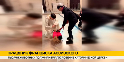 От улиток до верблюда: в храмах благословляют животных в праздник Франциска Ассизского