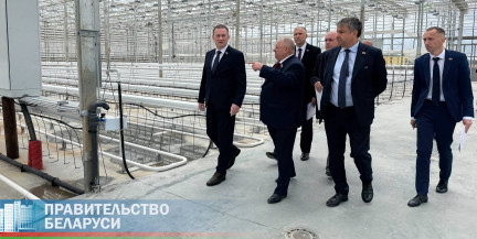 Александр Турчин посещает агрокомбинат «Ждановичи» в Минском районе