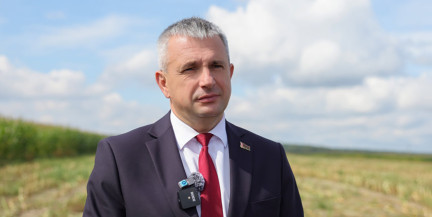 Уборочная, армейская дисциплина и сотрудничество с Узбекистаном: Президент заслушал доклад председателя Гомельского облисполкома