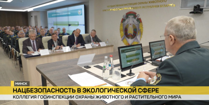 В Минске обсудили национальную безопасность в экологической сфере