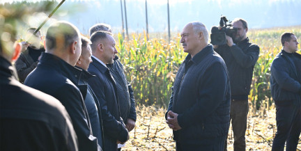 Повышение плодородия почв – Лукашенко ознакомится с ходом эксперимента в Минском районе