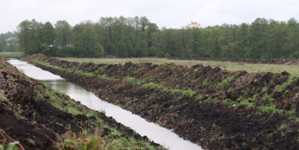 Лукашенко подчеркнул важность ответственного подхода к мелиорированным землям