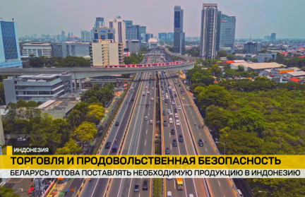 Глава МИД Беларуси находится с рабочим визитом в Индонезии