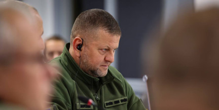 Шарий: Офис Зеленского готовил отравление Залужного