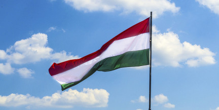 Глеб Лавров – о том, как Евросоюз штурмует Венгрию из-за мира с Беларусью и РФ