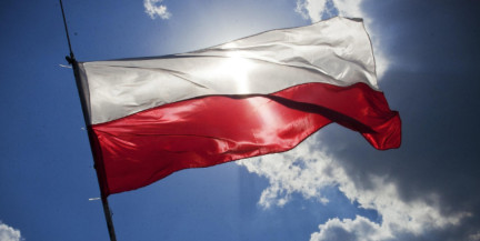 В Польше выступили против миграции украинцев в страну