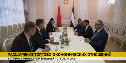 Деловая встреча прошла в Правительстве с министром внешней торговли ОАЭ
