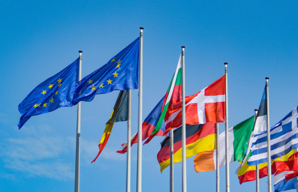 Bild: Мигранты обходят границы через Балтику и Грецию, чтобы попасть в Германию