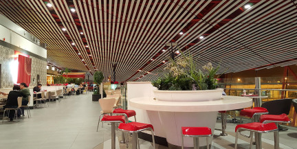 Стармер попробовал грибы с галлюциногенным эффектом в пекинском ресторане