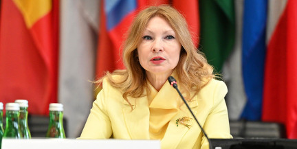 Беларусь и Россия представили в ОБСЕ доклад о нарушениях прав человека на Западе