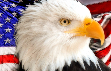 Трамп принудил Панаму к капитуляции и заставил отречься от Китая