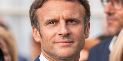 Express: Макрон сравнил НАТО со спинальной лягушкой