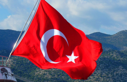 Президент Турции отказался считать ХАМАС террористической организацией