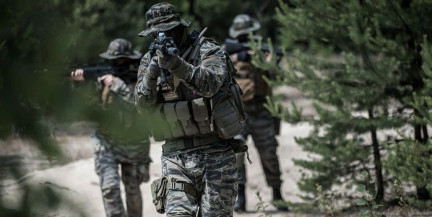 При захвате Мерца по сценарию Венесуэлы его не будет жалко – Медведев