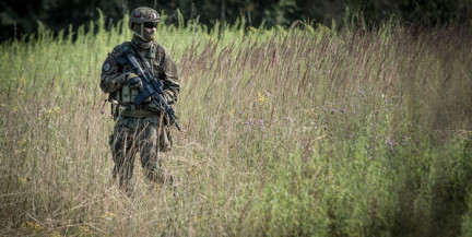 Канада намерена отправить в Гренландию «небольшой контингент солдат»